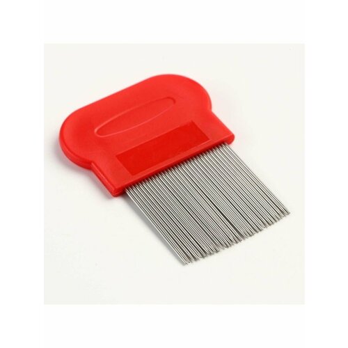 ���� �������� �������� ��� �������� � �������� �������, ������ ������