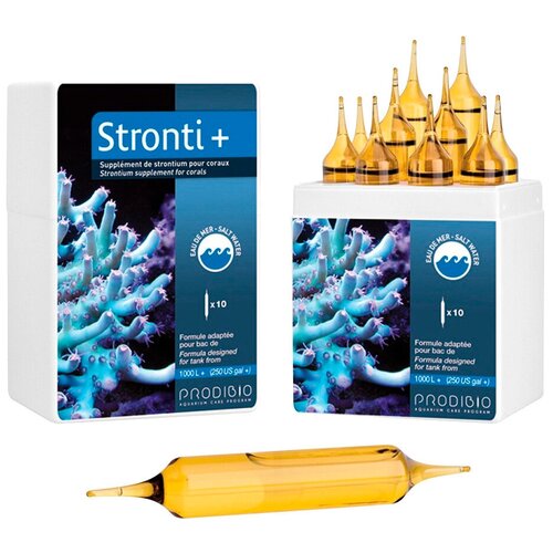  STRONTI+ PRO10 1x4000      (10)   -     , -,   