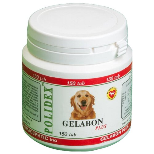    Polidex Gelabon plus , 150 .   -     , -  