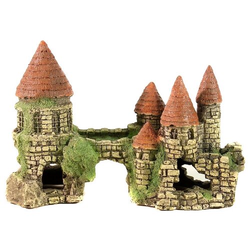 ���� ����/������ ��� ��������� ����� ����� �101 21�13�13 ��, ������ ������