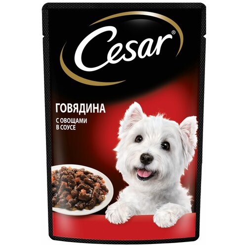       Cesar       1 .  2 .  85  (    )   -     , -  