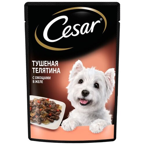      Cesar ,   1 .  24 .  85  (  )   -     , -  