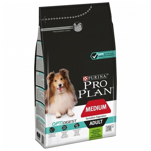      Pro Plan   ,  1 .  2 .  1500  (  )   -     , -  