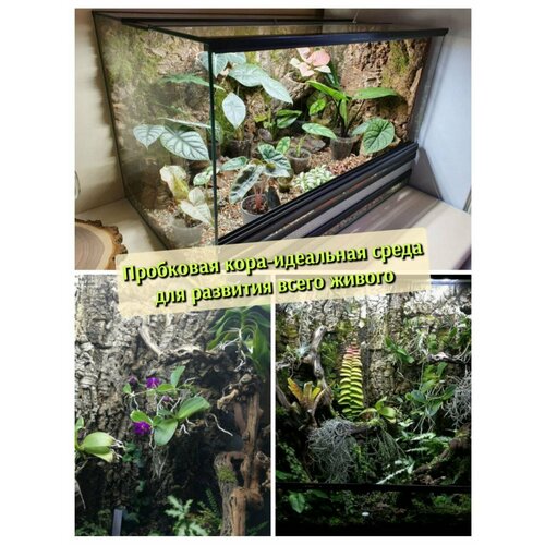 ���� ��� ��� ���������� 45*45�� �������� 3D �� ��������� ���� �����������, ������ ������