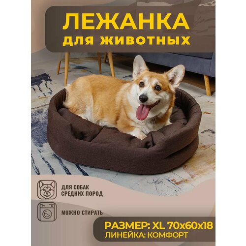 ���� ������� ��� ����� � ����� ������� ����� �� �������, ������ ������