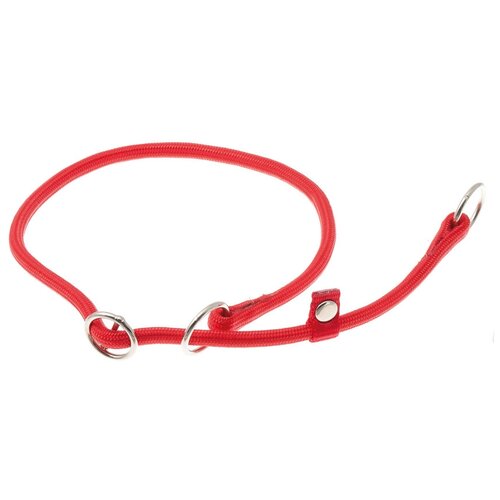 ���� �������� ���� ������� ZooOne (co ��������) � 2-� �������� ������� 6 ��, ����� �������� 50 ��, ������ ��� 50 ��, 1 ��., �������, ������ ������