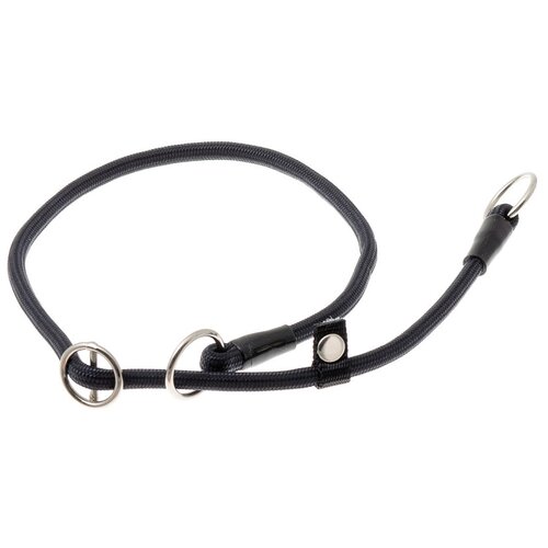 ���� �������� ���� ������� ZooOne (co ��������) � 2-� �������� ������� 6 ��, ����� �������� 45 ��, ������ ��� 45 ��, 1 ��., ������, ������ ������