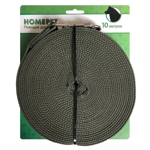  HOMEPET    25 10  (0.1 ) (2 )