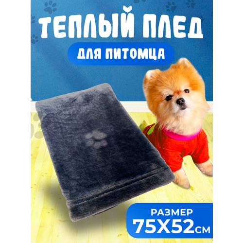 ���� ���� ��� ��������, ���� �����-�����, ������ 75x52 ��, ������ ������