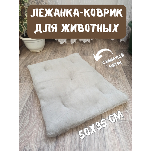 ���� �������-������ ��������� ��� ��������, 50�35 ��, ����� ��� ����� ������-�����, ������ ������