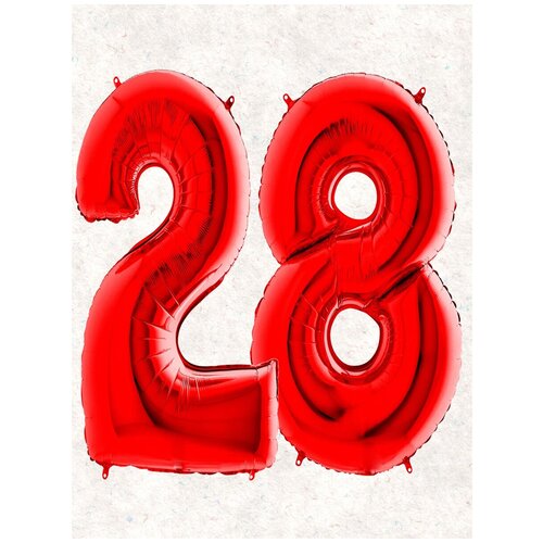 ���� ����� �����: ����� 28 ���, 100 ��, ������ ������