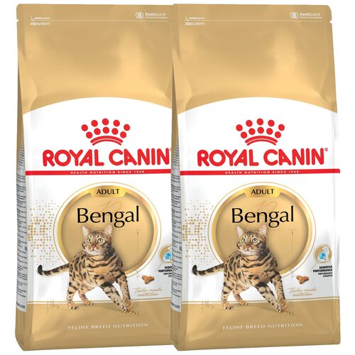  ROYAL CANIN BENGAL ADULT     (2 + 2 )   -     , -  