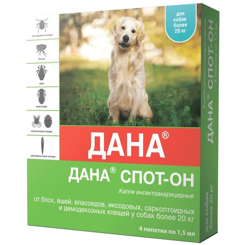 ���� Apicenna ����� �� ���� � ������ ���� ����-�� ��� ������, �����, �����, ��� �������� �������� 4 ��. � ��., 1 ��., ������ ������