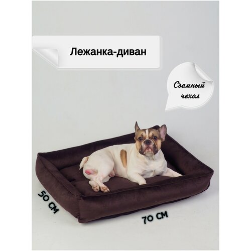 ���� �������-����� ��� ��������� ����� � ����� �� ������� ������. ������ 70�50. �������, ������ ������