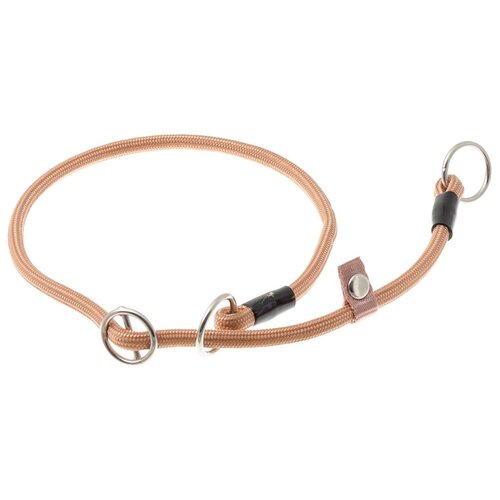 ���� �������� ���� ������� ZooOne (co ��������) � 2-� �������� ������� 6 ��, ����� �������� 60 ��, ������ ��� 60 ��, 1 ��., ����, ������ ������