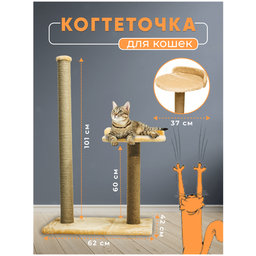 ���� ���������� ������� � ��������. ���������� ������� �������. ���������� �������. ���������� �������/������� �� �����, ������ ������