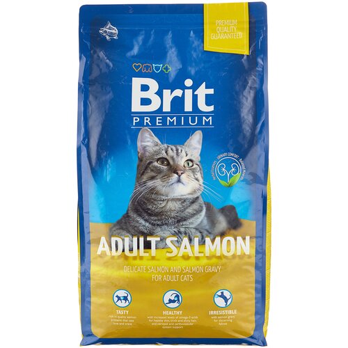      Brit Premium,   8000  (  )   -     , -  