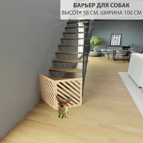 ���� ������ ����������� ��� ����� . ���������� ��� �����. ���� �������. ������ 58 �� ������ 100 ��., ������ ������