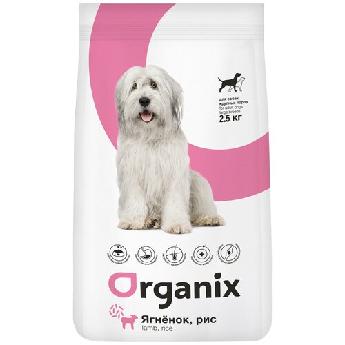  Organix -     ,     (adult large dog breeds lamb and rice) 18    -     , -,   