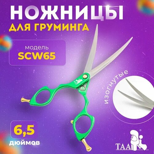  TAA     6.5 SCW65  , ,    ,  