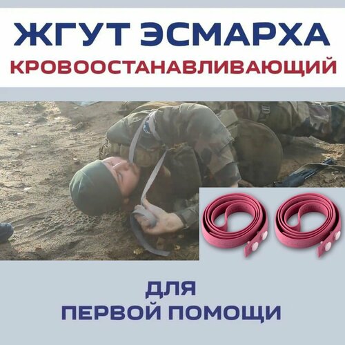 ���� ���� ������� ��������������������, �������. ������������. ����� 2 �����, ������ ������