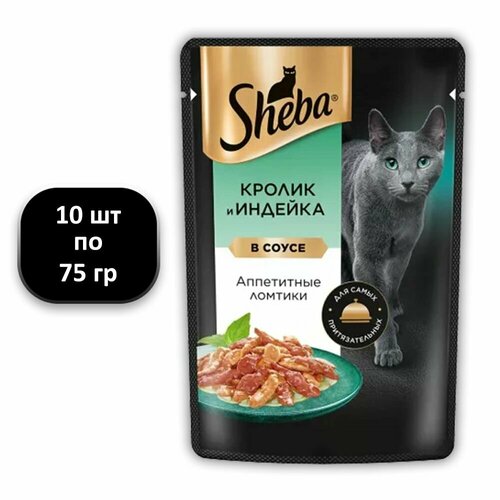  (10 .) 75 , Sheba,  ,  ,   ,      -     , -  