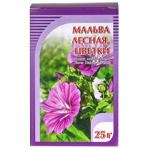 ���� ����� ����� ������ ������, 25 �, ������ ������