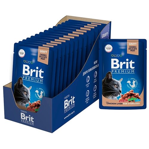       Brit Premium     14   85   -     , -,   