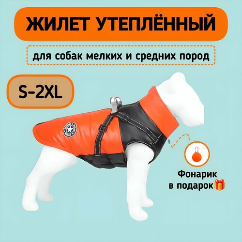 ���� ������ ��� ����� ������ ����� ������, ���������, S, ������ ������