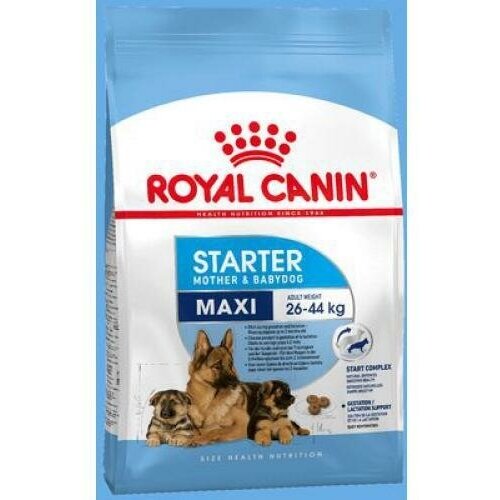         2- ,     Royal Canin Maxi Starter 15 .   -     , -,   