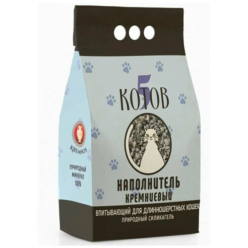 ���� ������ ����������� ���������� ����������� 