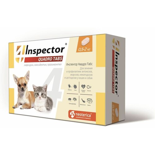  Inspector      Quadro Tabs  0.5  2      4 .  ., 1 .   -     , -  