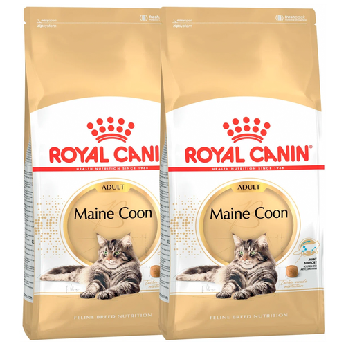      Royal Canin Maine Coon Adult          15   12  2 .  2 .  4000    -     , -  