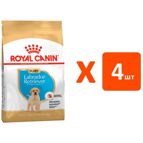  ROYAL CANIN LABRADOR RETRIEVER PUPPY     (3   4 )   -     , -  