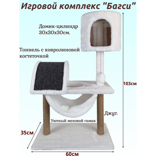 ���� ������� �������� � �������, �������, ������������ 