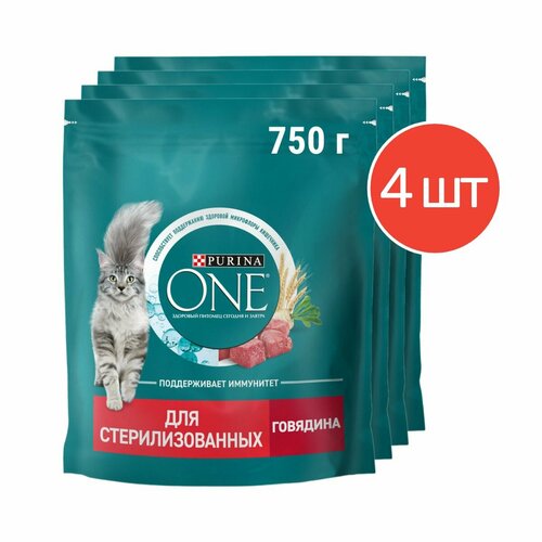    PURINA ONE      ,       750 , 4    -     , -  