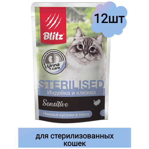       Blitz  ,  ,   12 .  85  (  )   -     , -  