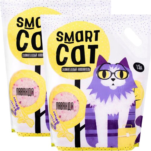 SMART CAT         (3,32 + 3,32 )