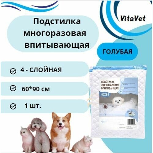   VitaVet CARE , , 4-, 6090 ,  , 1 .   -     , -  