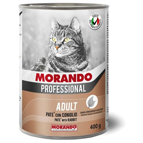    Morando Professional     , 6  400 