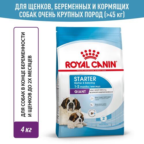         2- ,    , Royal Canin Giant Starter ( ), , 4    -     , -  