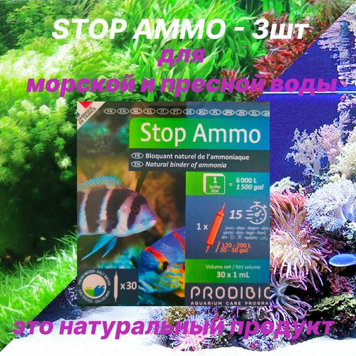  STOP AMMO          (3)   -     , -  