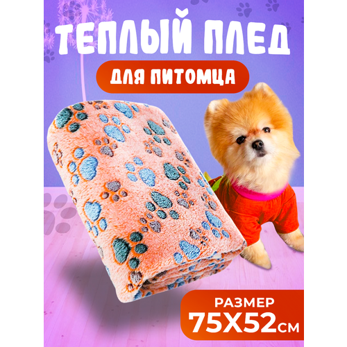 ���� ���� �������� ��� ��������, ���� ����������, ������ 75x52 ��, ������ ������