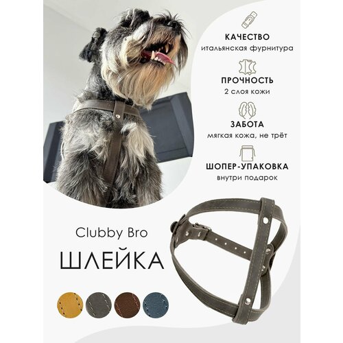 ���� ������ ��� ����� Crazy Horse �� ����������� ���� 2 �� ������� ��� �������� ����� 5-10 �� , ������ ����� 45-55 �� , ���� ������, ������ ������