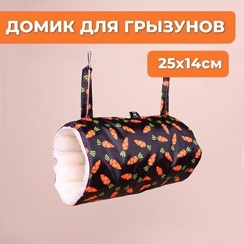 ���� ����� ��� �������� ���������, �����-������� ��� �������, ����, ����, ������� ������, ������ ������