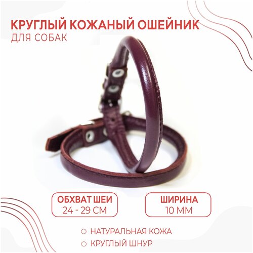 ���� ������� ������� ������� (������ ��� 24-29 ��.) ��� ��������� ����� ����� � �������� ������� / ��������, ������ ������