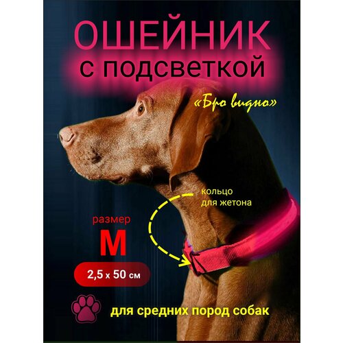 ���� ������� � ���������� � ������� ��� ������� ����� �����, ������ ������