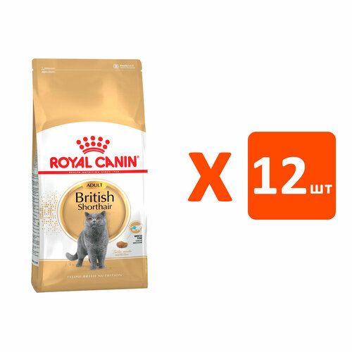  ROYAL CANIN BRITISH SHORTHAIR ADULT      (0,4   12 )   -     , -  