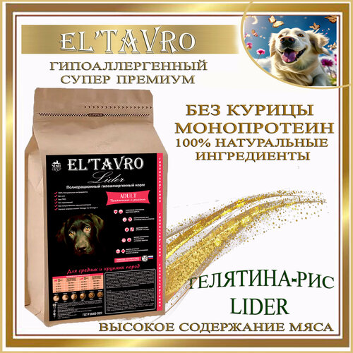      ELTAVRO () LIDER 10   /  /    -     , -  