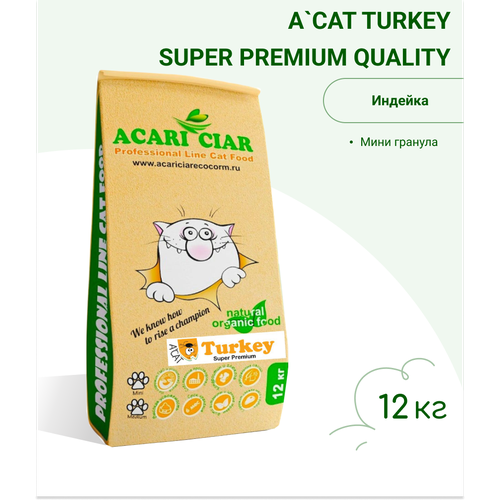      Acari Ciar A`Cat Turkey 12      -     , -,   
